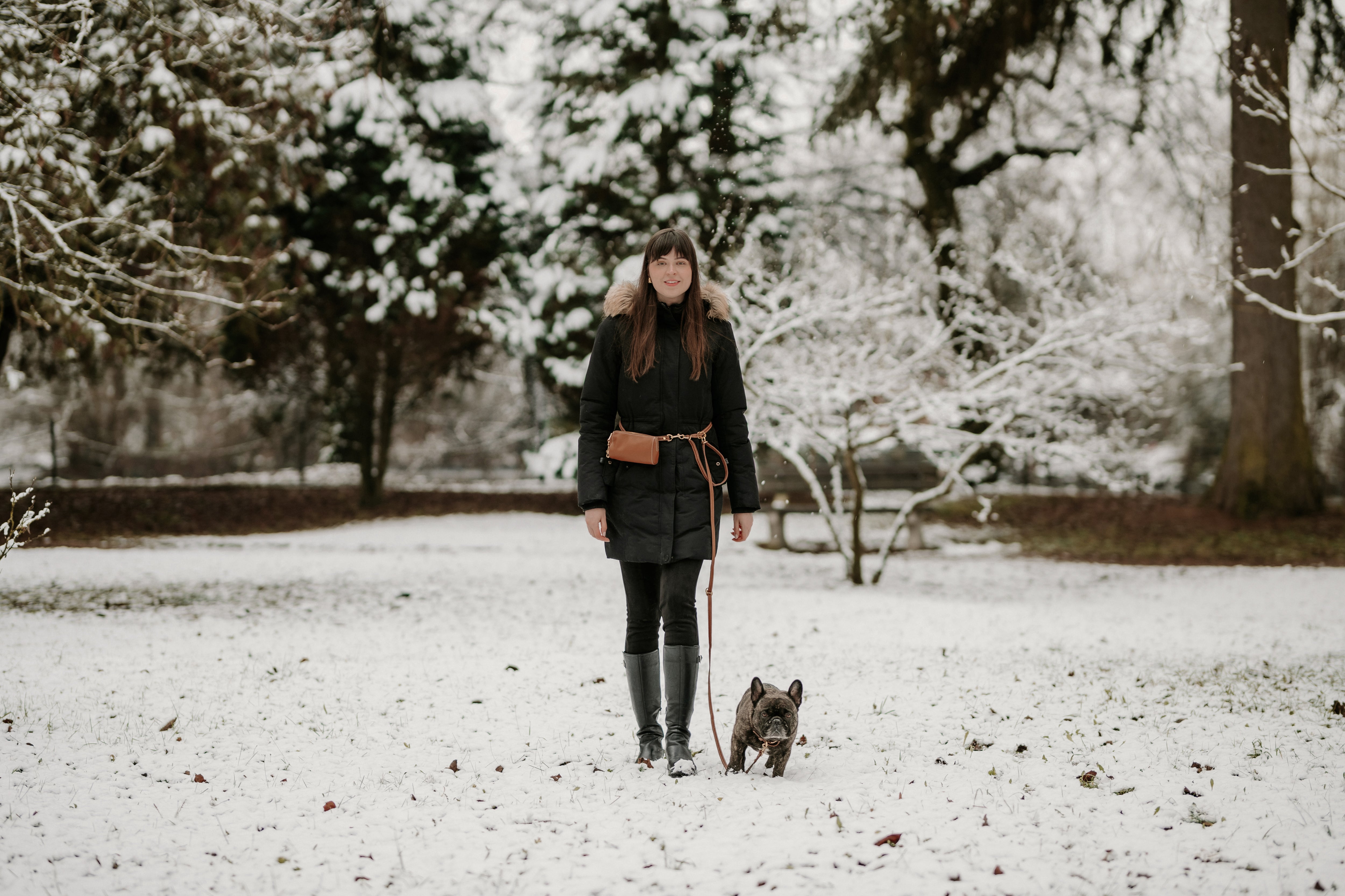 Why a hands-free leash is your new best friend for effortless dog walks