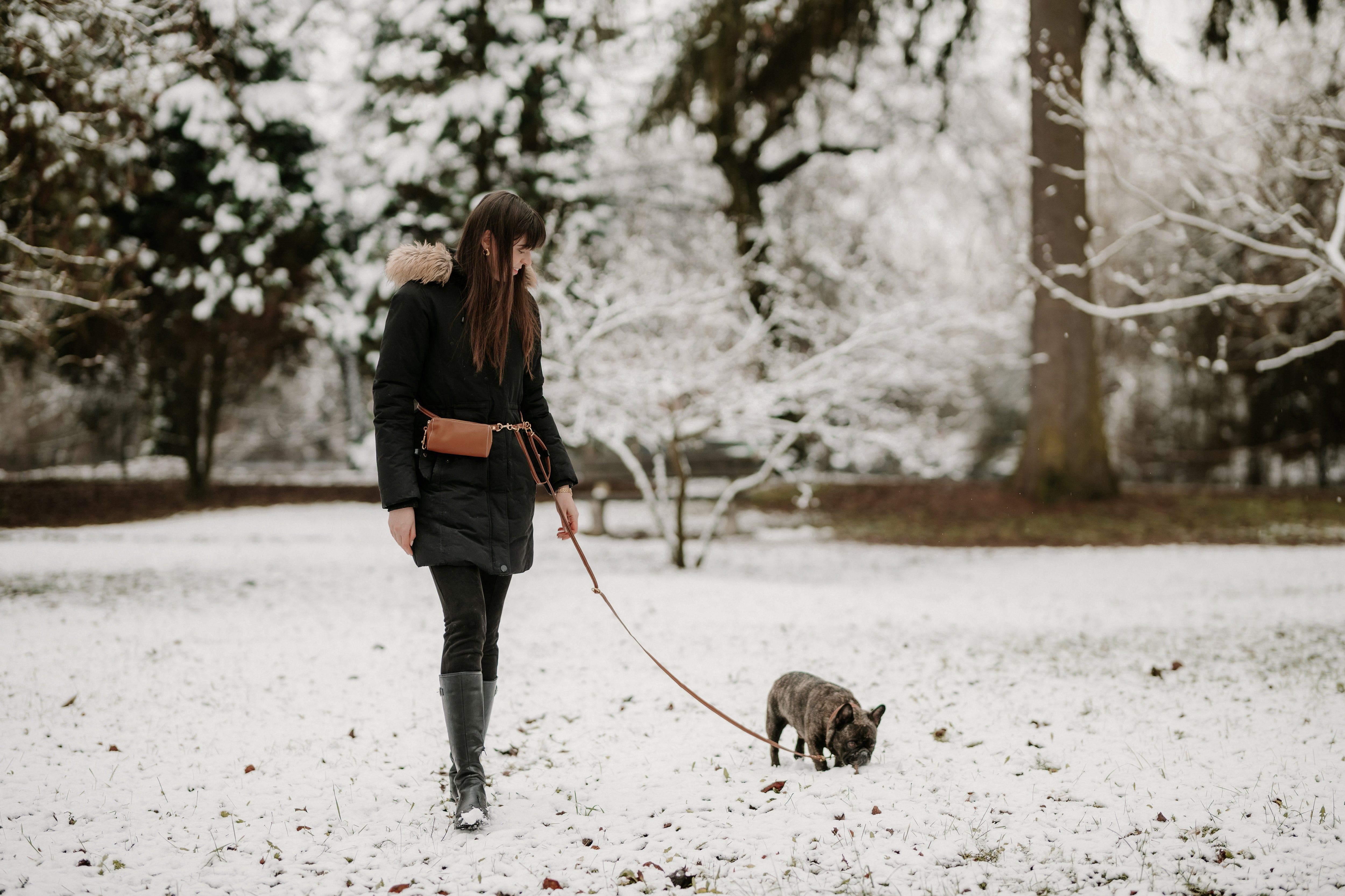 Tips for engaging dog walks (Featuring LEALE’s hands-free leash)