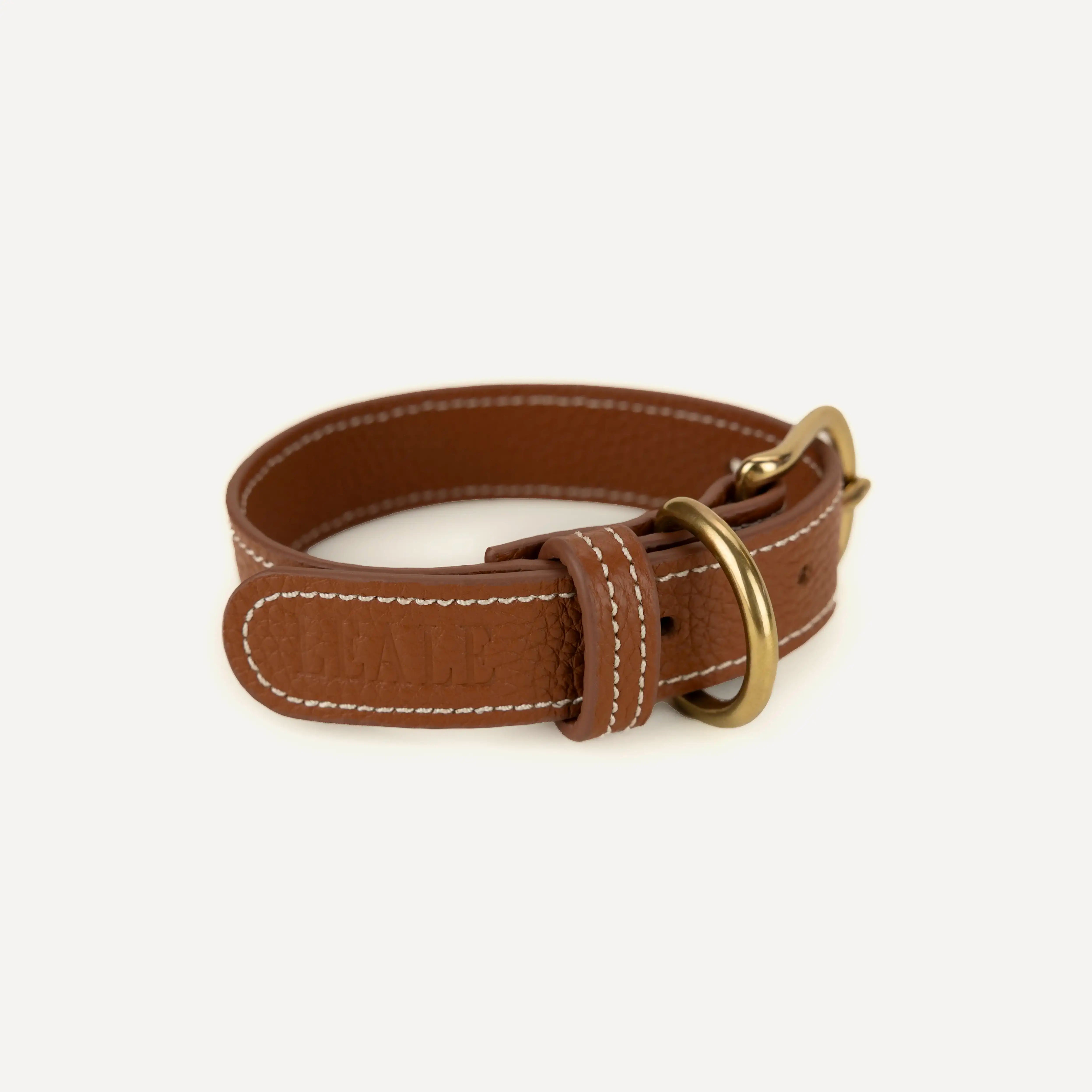 Closeup image of a leather dog collar, showing texture and metal details