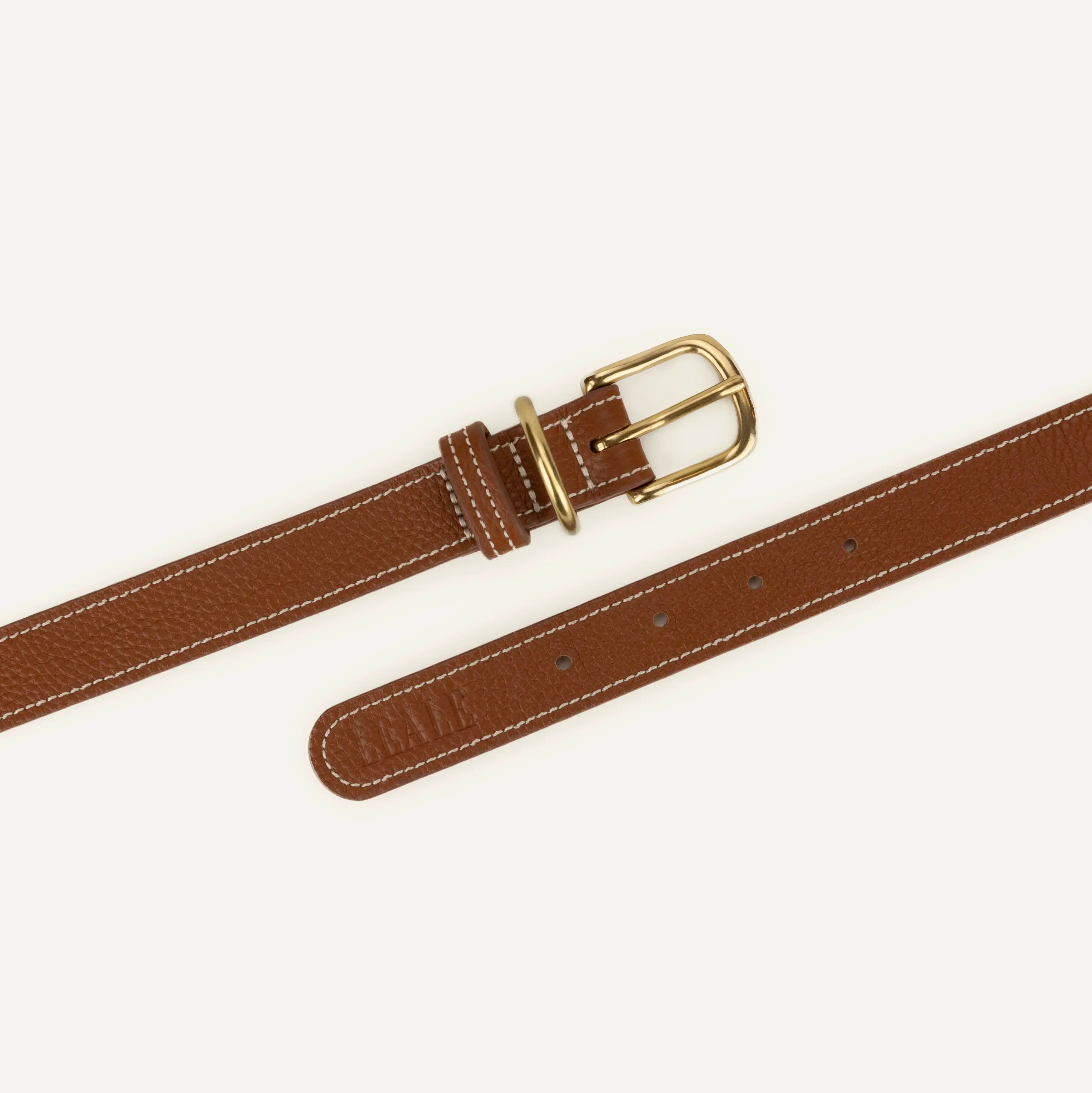 Closeup product image of a dog collar, showing leather texture