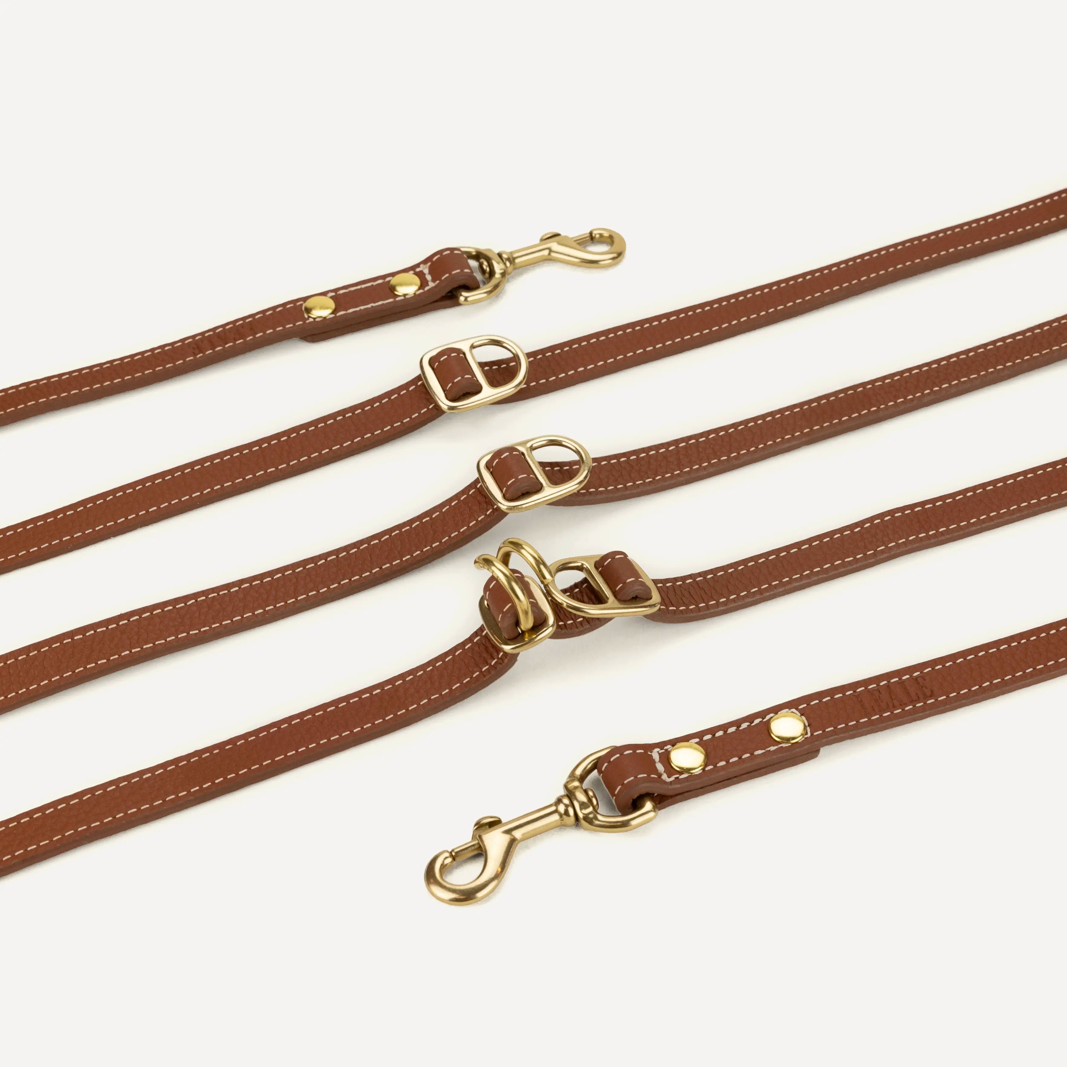 Closeup image of a leather dog leash with metal details