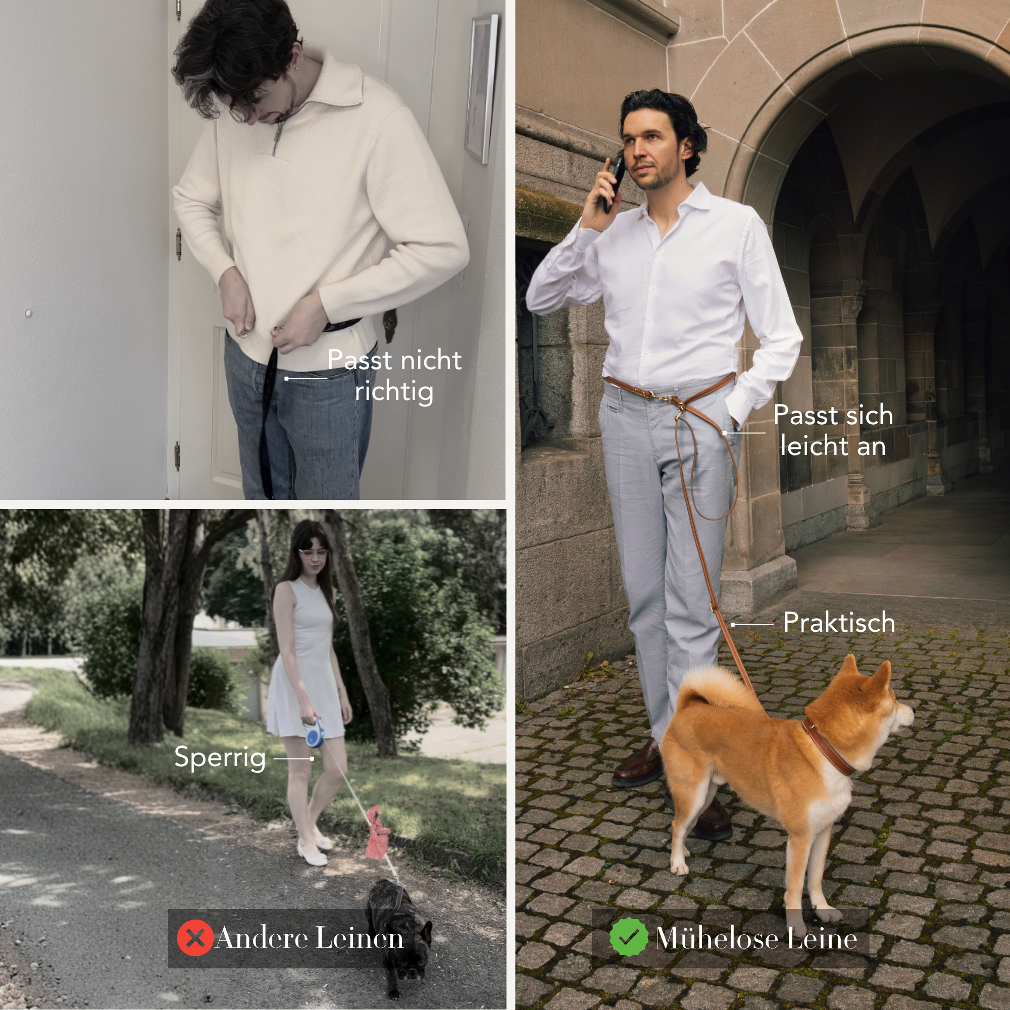 Comparison of different dog leashes with text labels on a collage. #lang_de