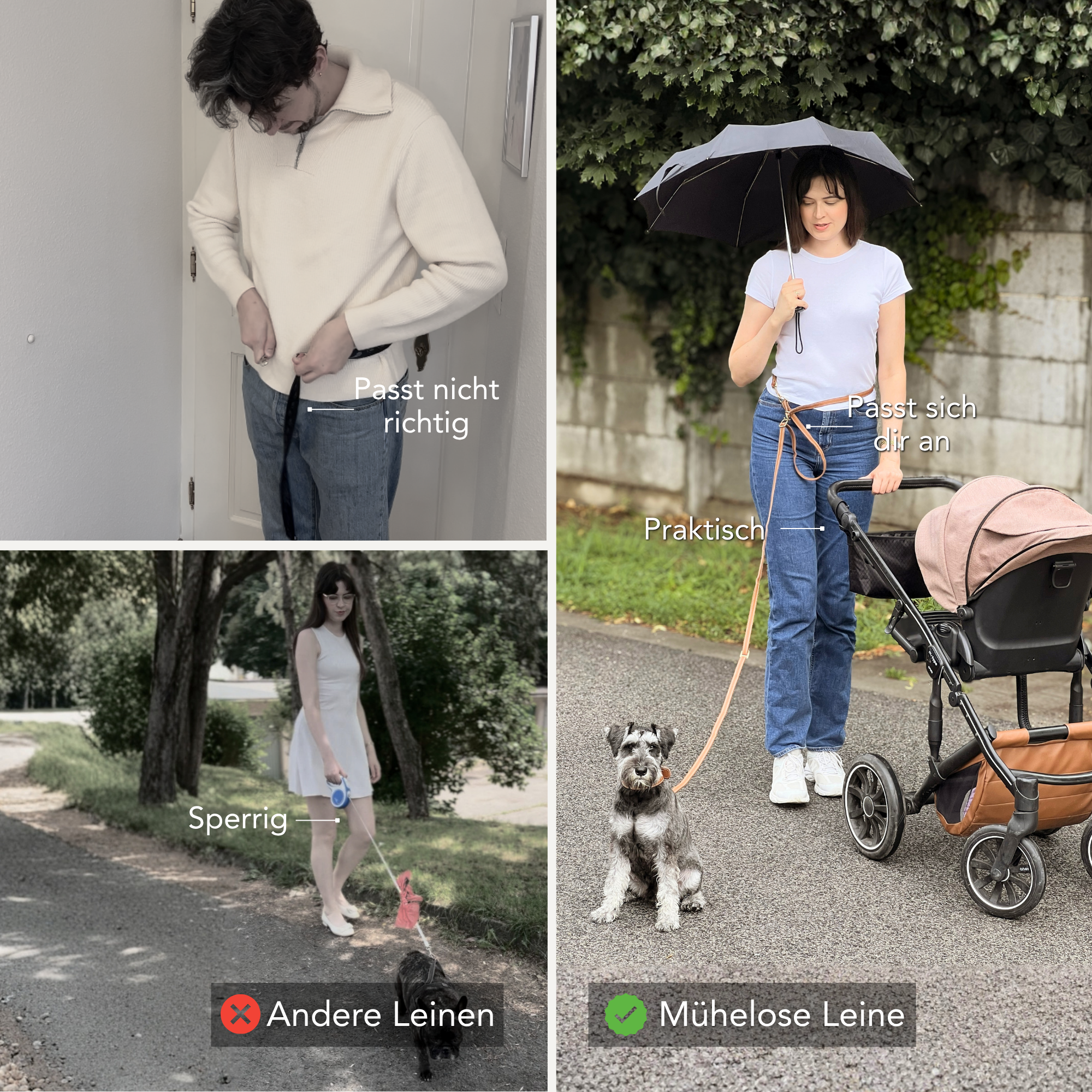 Comparison of different dog leashes with text labels on a collage. #lang_de