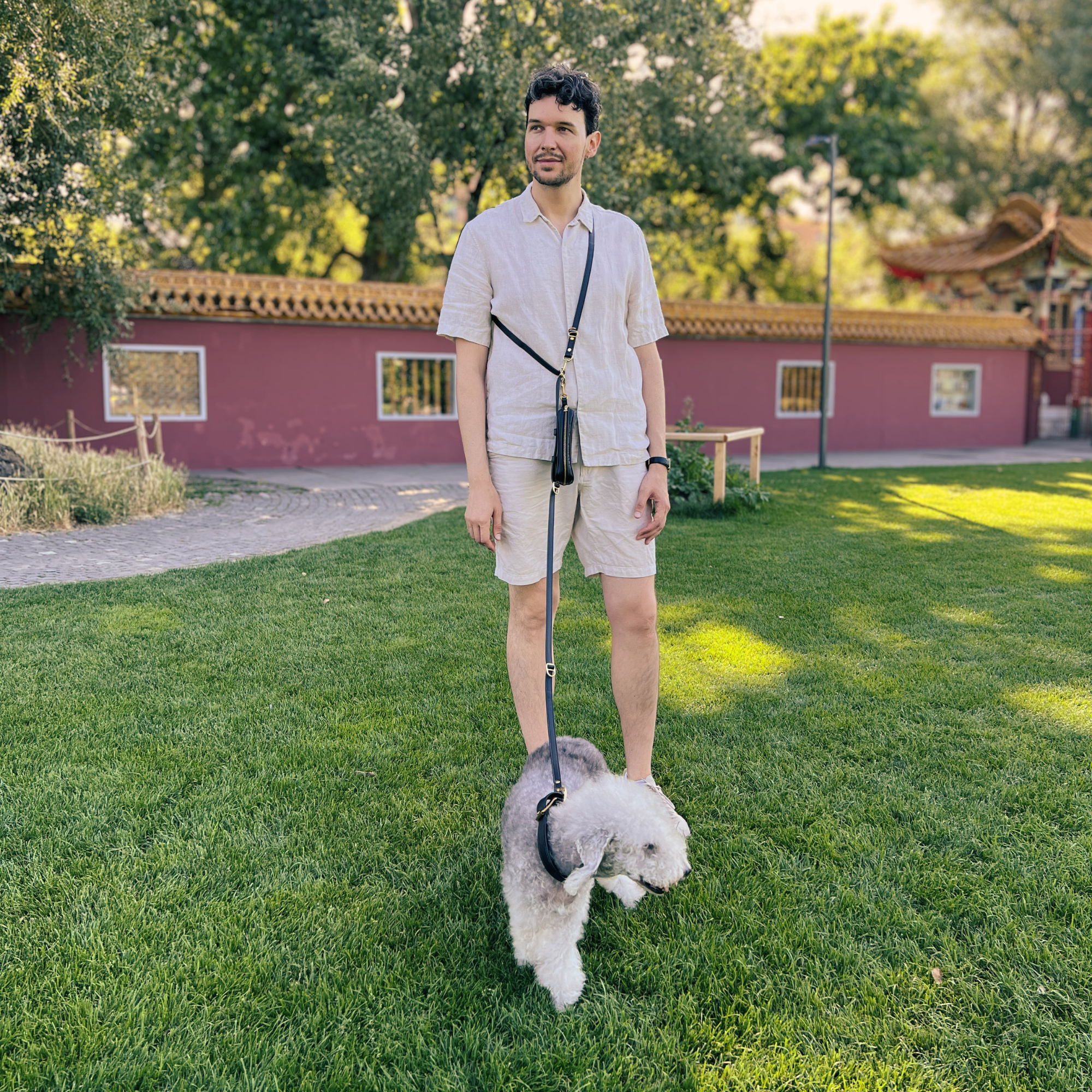 Effortless 3-in-1 Leather Dog Leash in Black