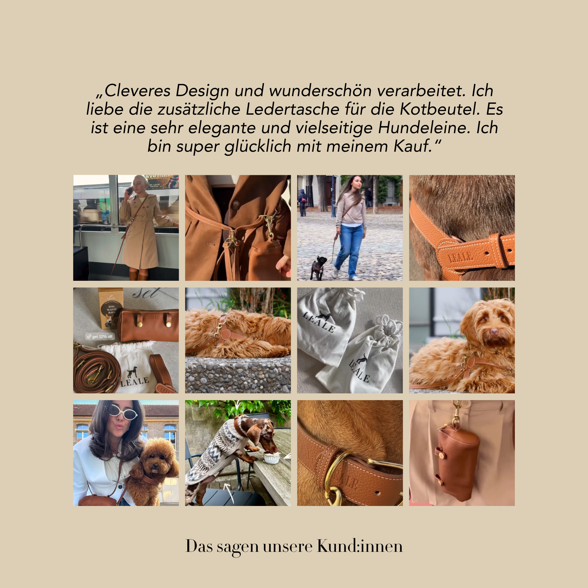 Collage of dog accessories with text on a beige background #lang_de