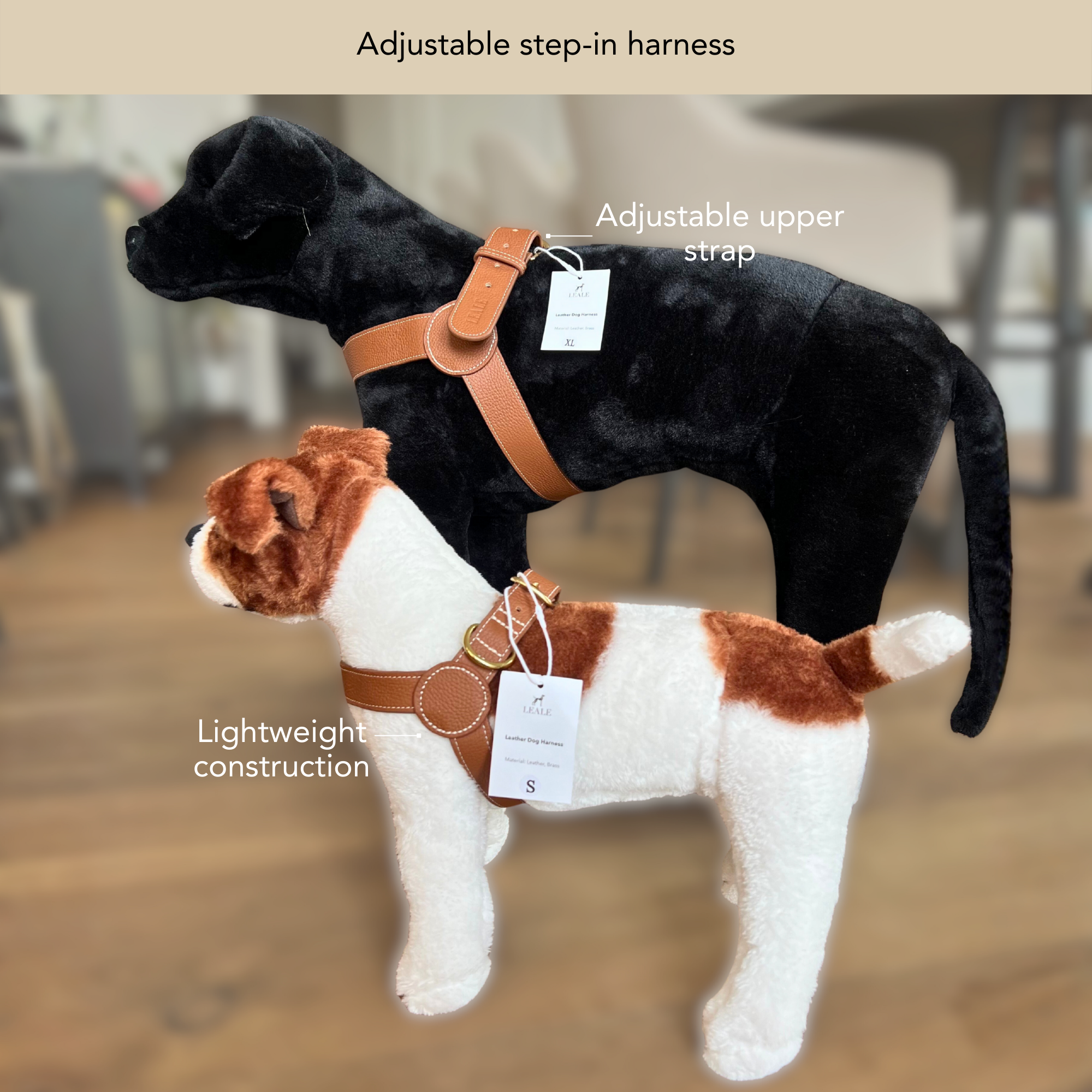 Two dogs wearing brown leather harnesses with text labels on a blurred indoor background #lang_en