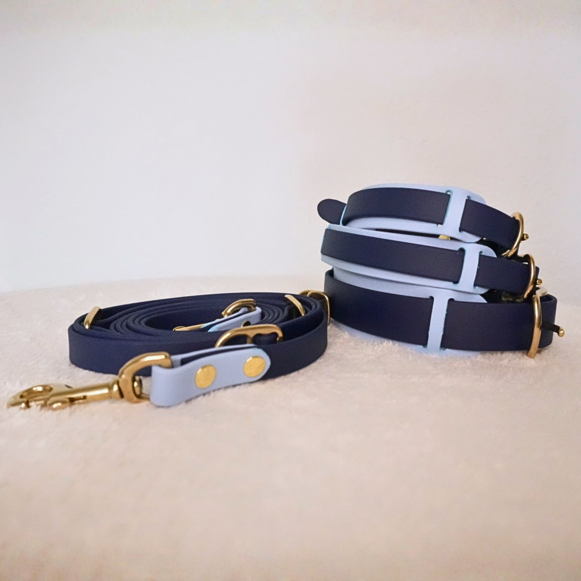 Dog leash and collars in dark blue with light blue accents.