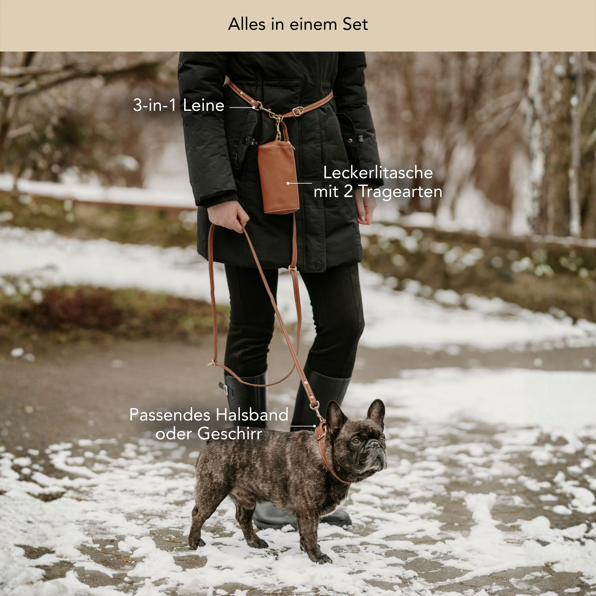 Person walking a dog with pet accessories in a snowy setting, featuring text about product features and Trustpilot rating. #lang_de