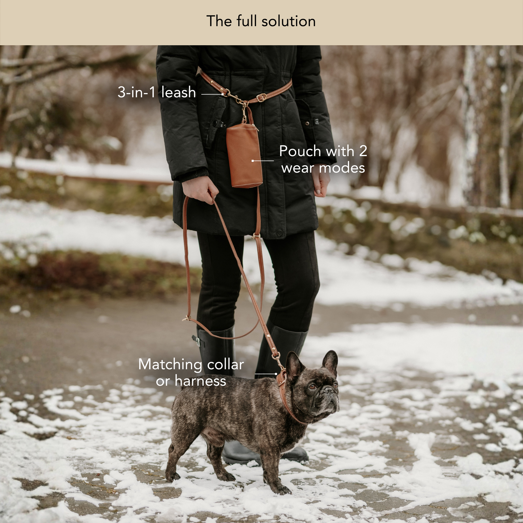 Person walking a dog with a 3-in-1 leash, pouch, and matching collar or harness in a snowy outdoor setting. #lang_en