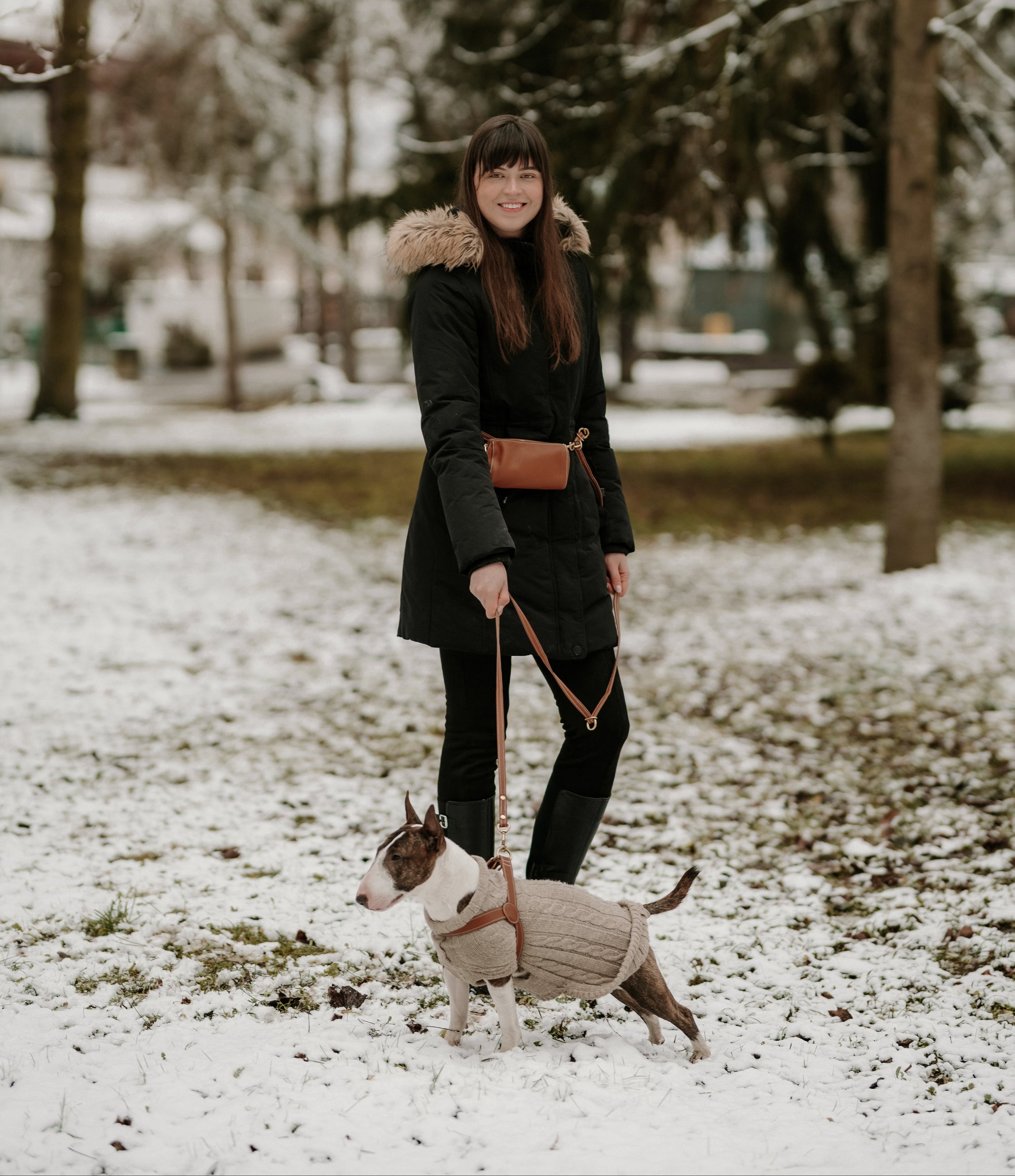 Woman walking a dog in a snowy park