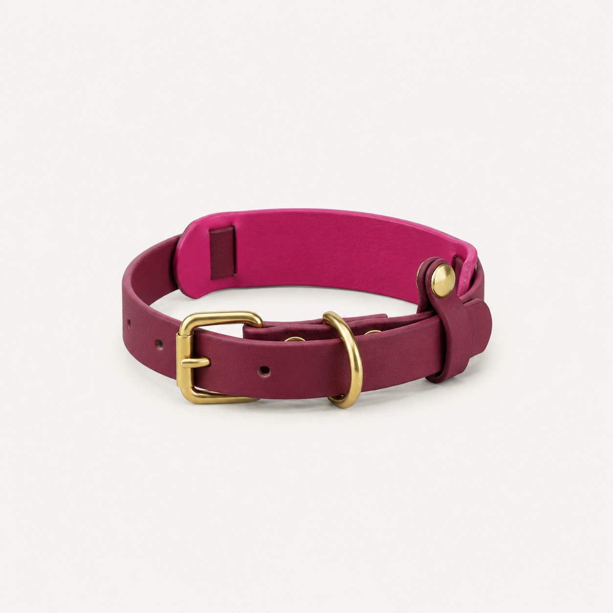Pink dog collar with gold hardware on a white background