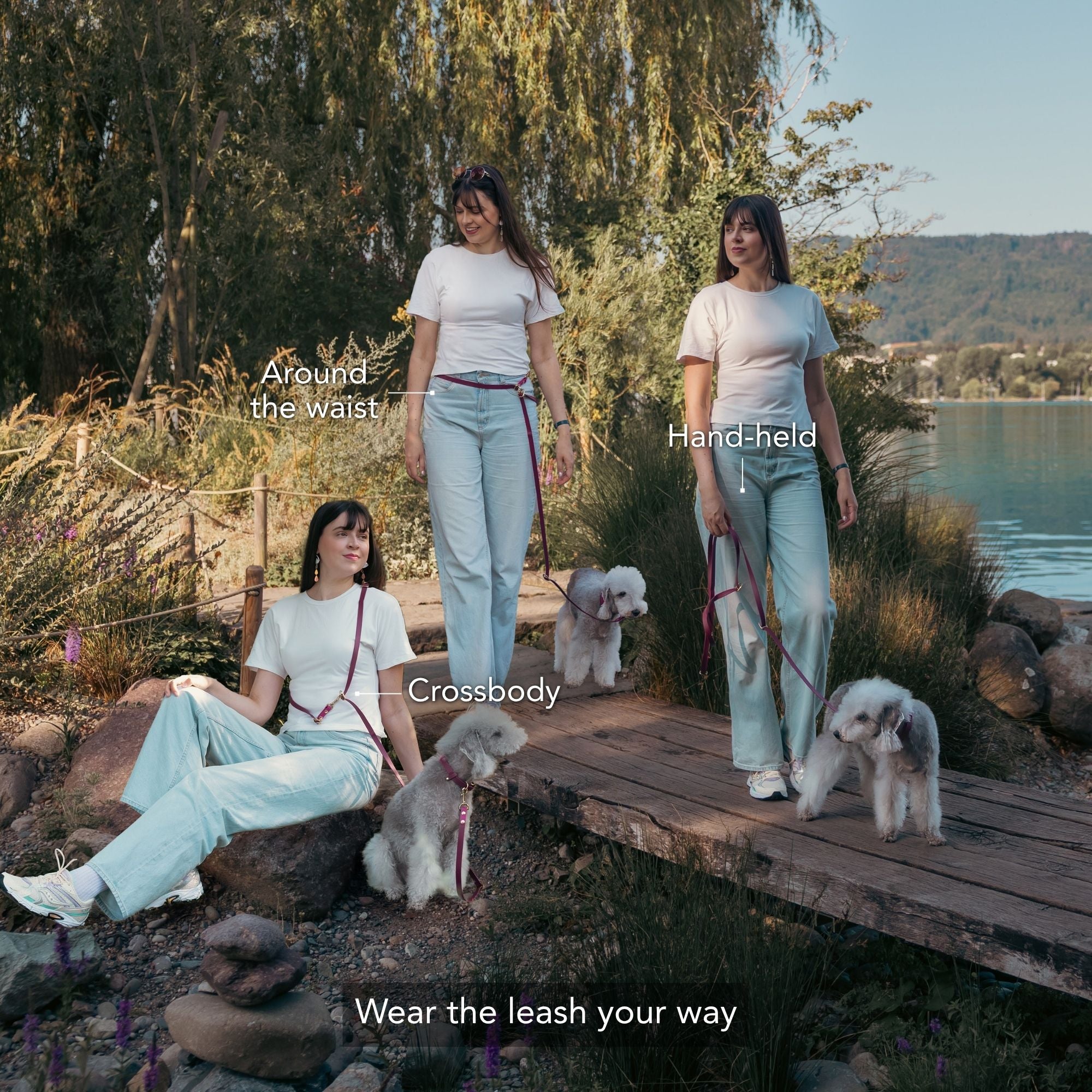 Three wear modes of a dog leash in Zürich. #lang_en