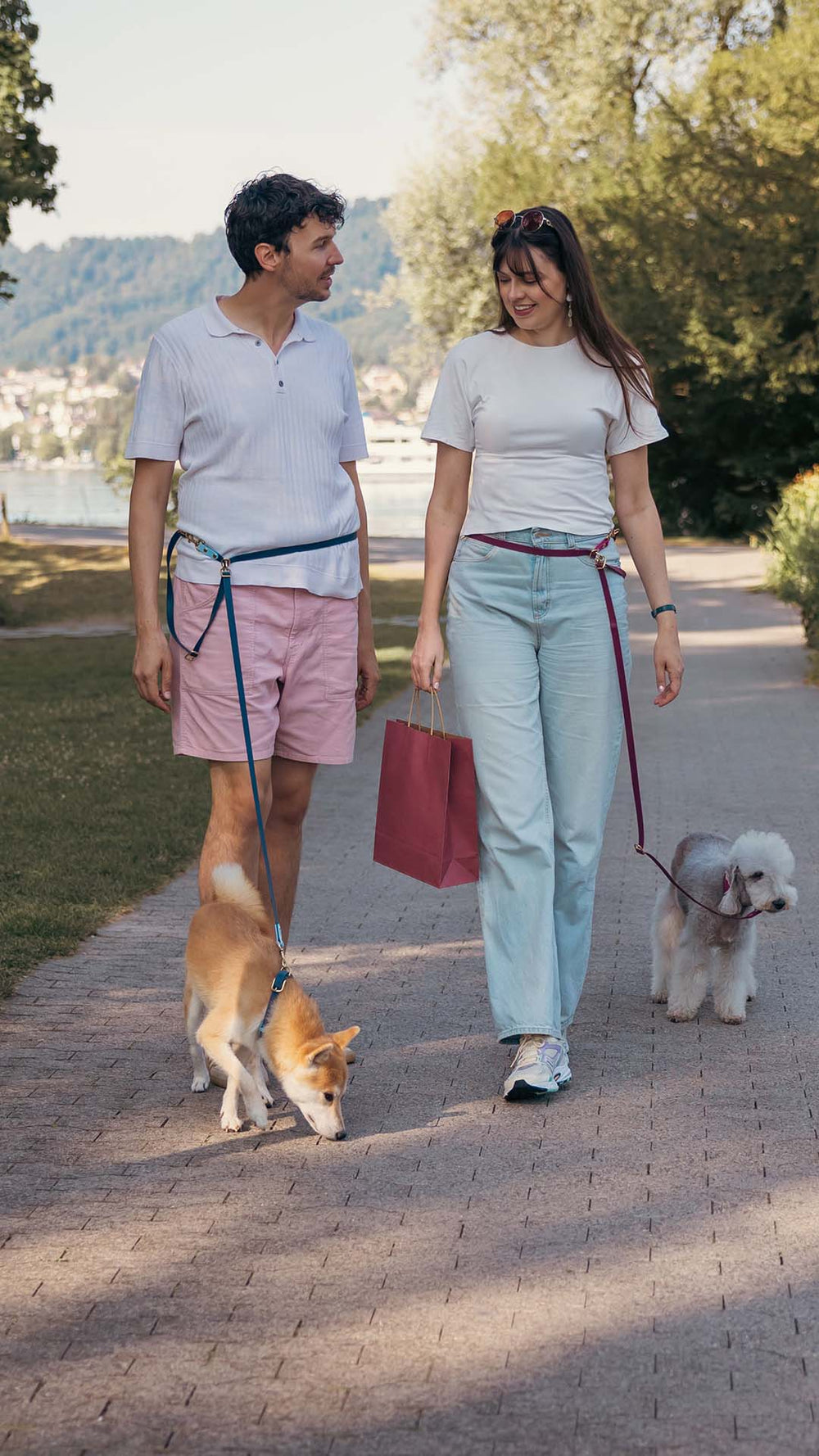 A man and a woman walking outdoors with a Bedlington Terrier and a Shiba Inu. Both wear the matching LEALE Effortless hands-free leashes around their waist.