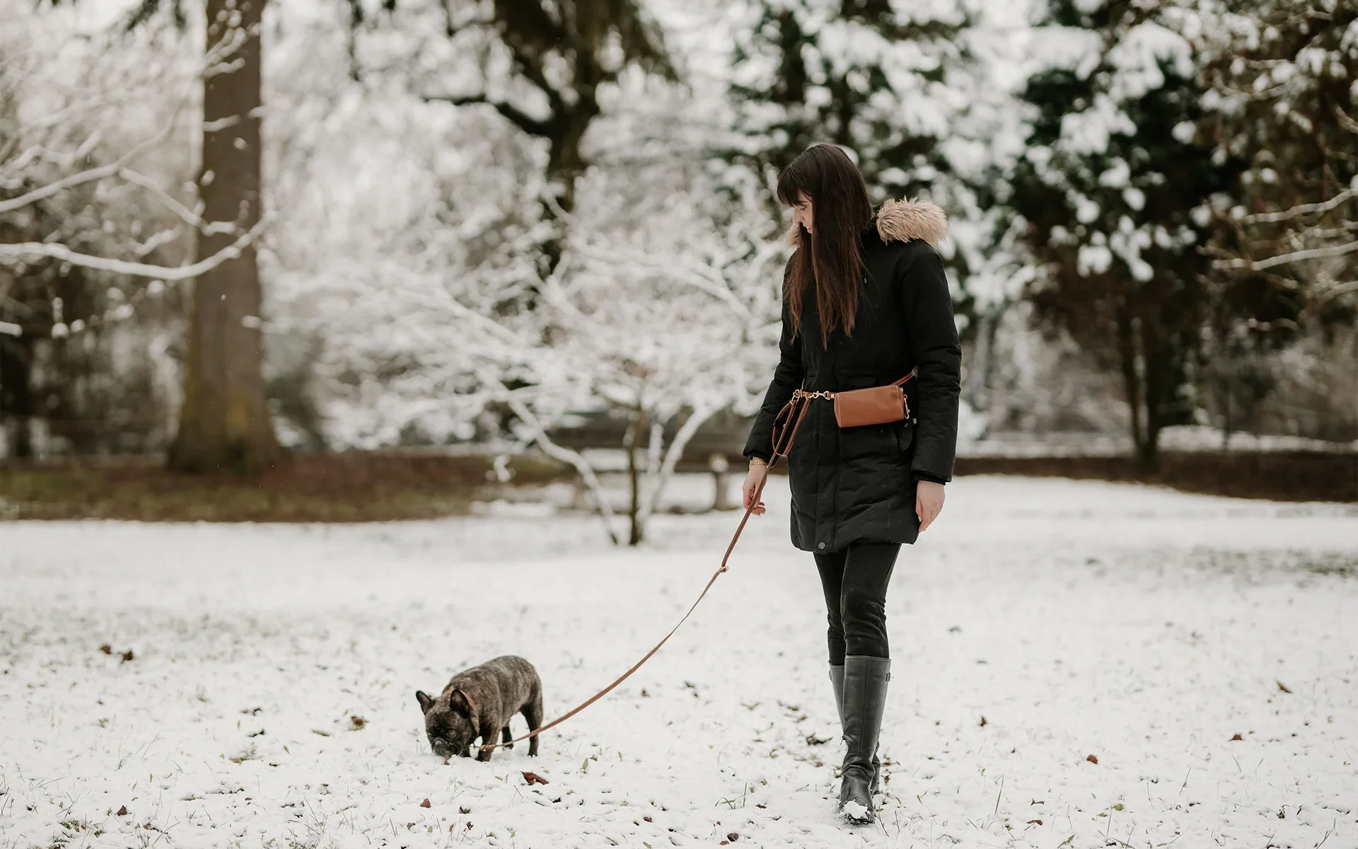 Walking a dog using a handsfree adjustable leash