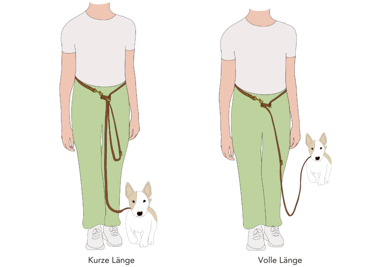 Illustration of two people wearing green pants with a dog on a leash, showing different lengths.