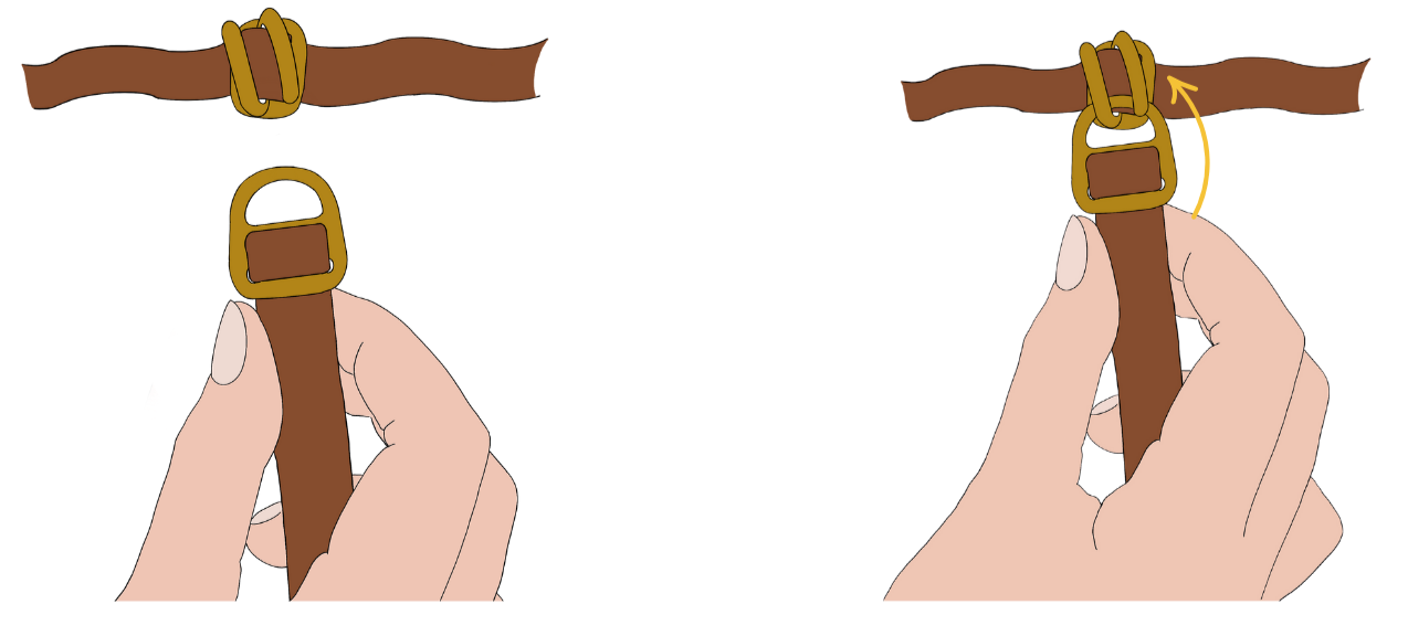 Illustration of hands holding a brown leash with a gold buckle showing how to shorten the dog leash during a walk..