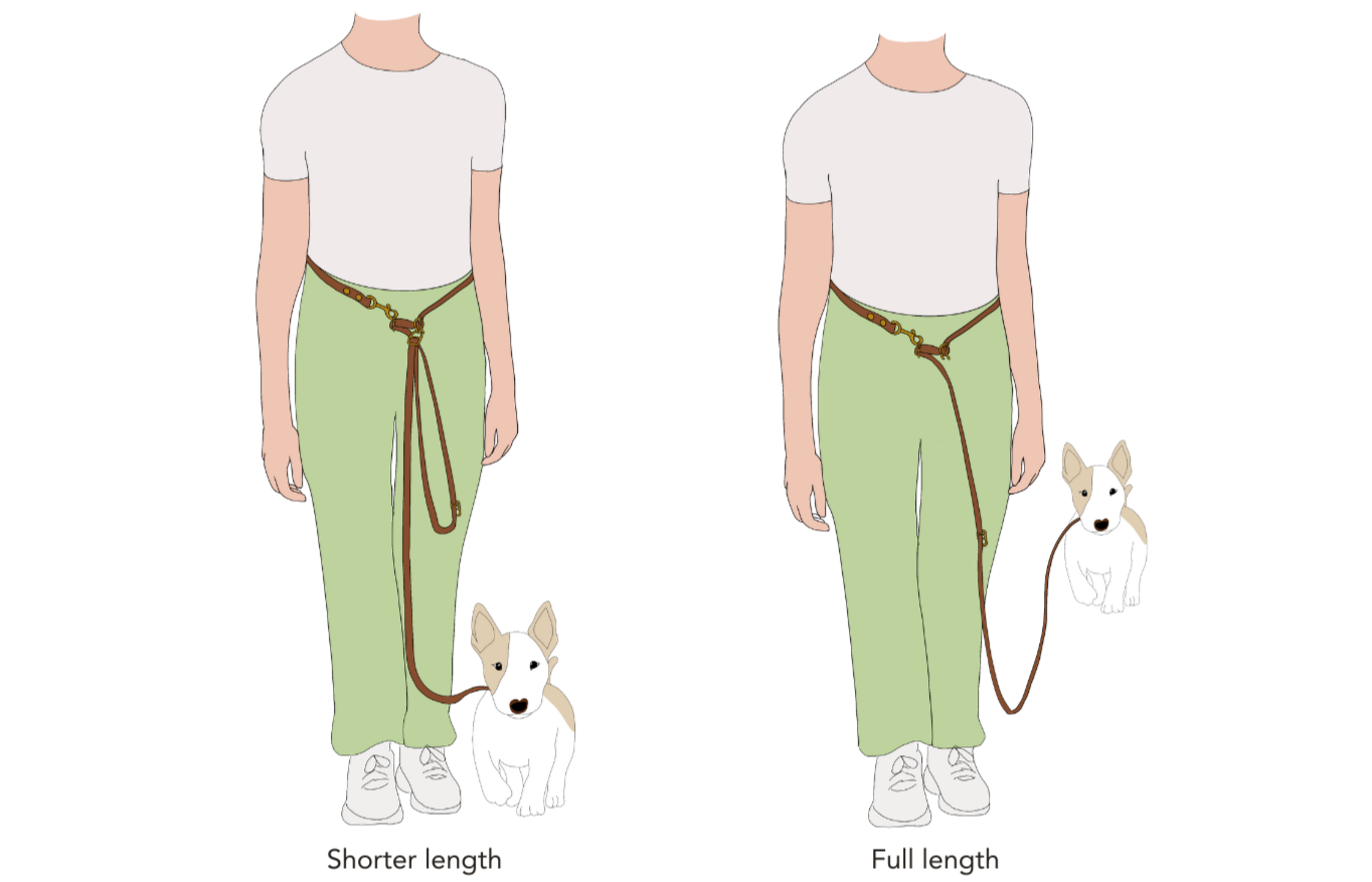 Illustration of a person wearing a dog leash with two different lengths, one shorter and one full length, on a white background.