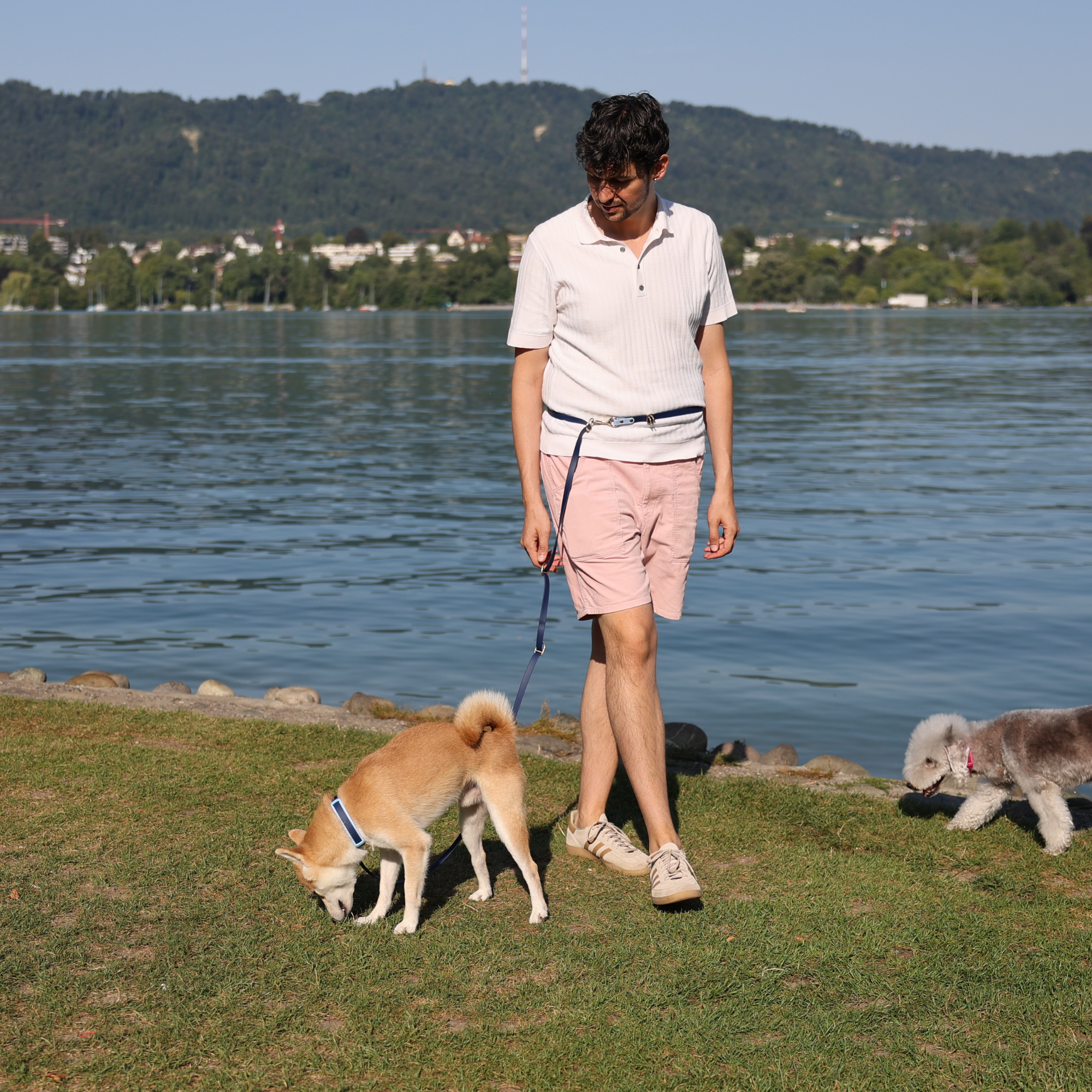 Signature BioThane® Collar in Navy