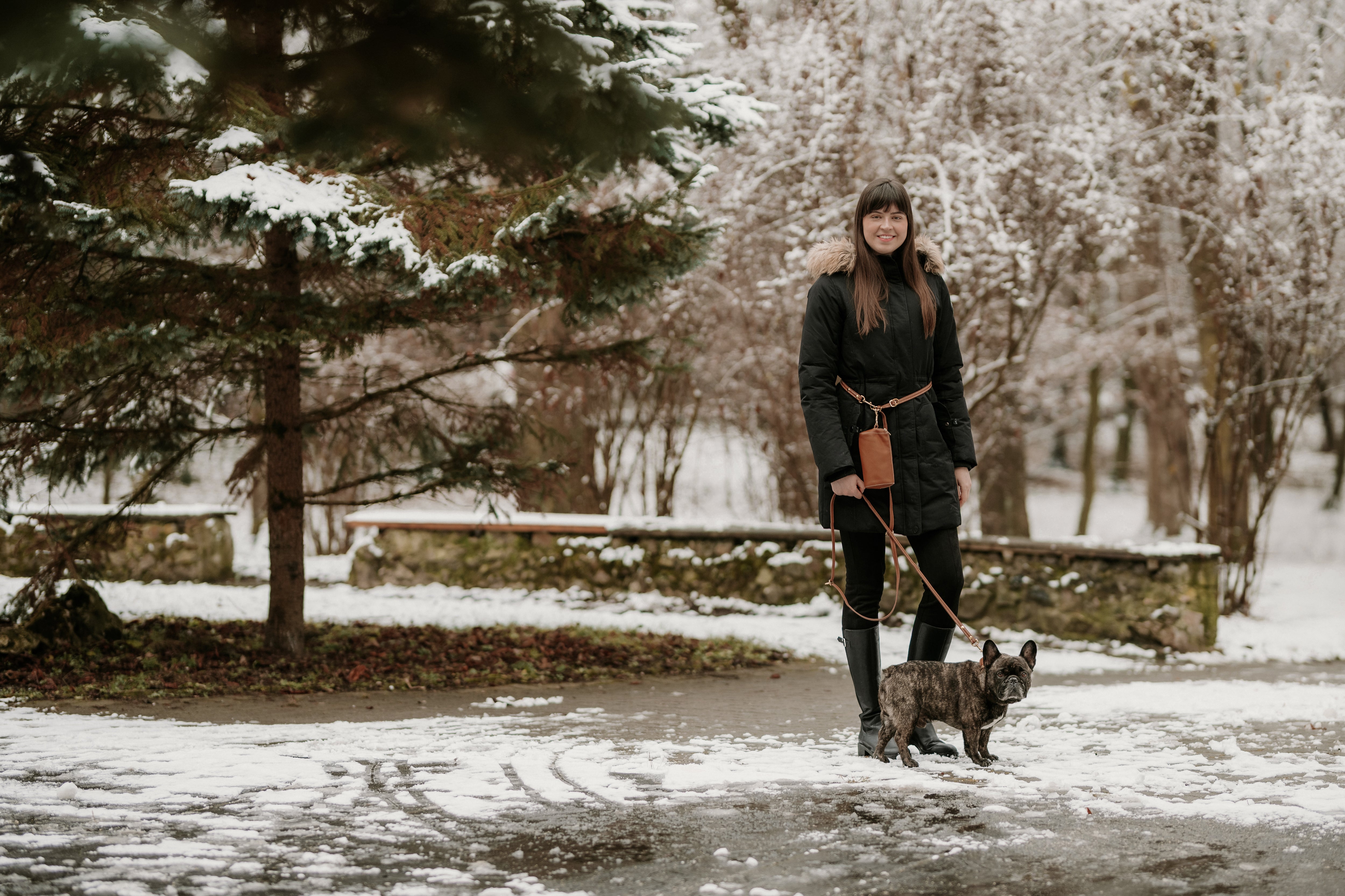 How does a handsfree dog leash work?