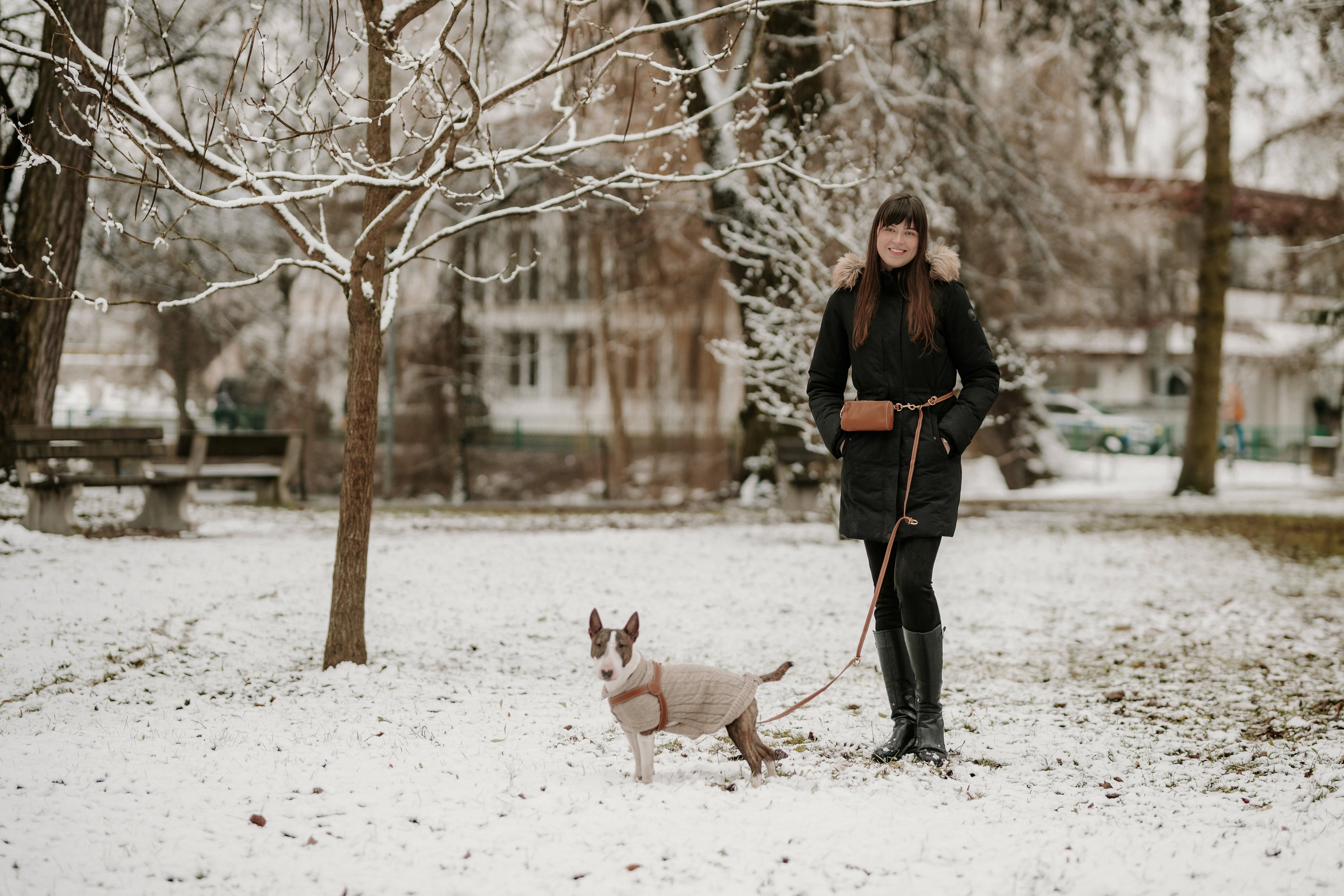 Are hands-free leashes good for dogs who pull?