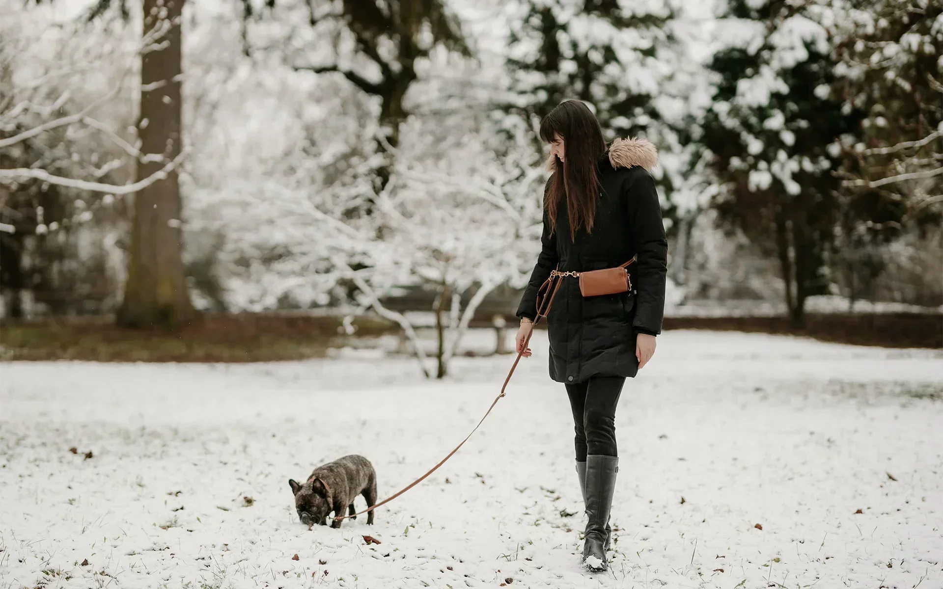 What’s the best dog leash in 2025? Here's what to look for