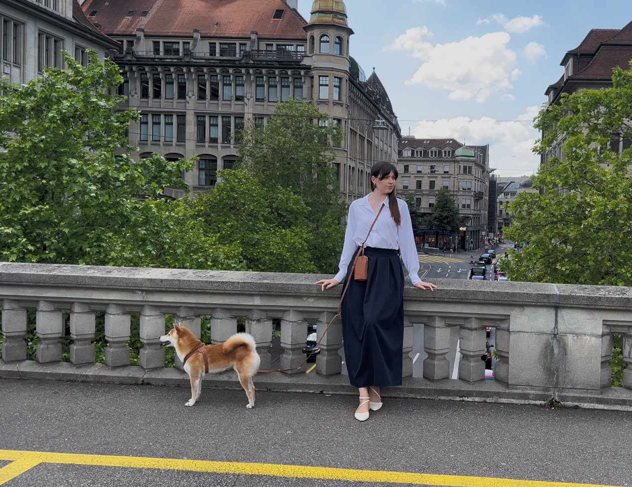 FAQs: Everything you need to know about hands-free dog walking