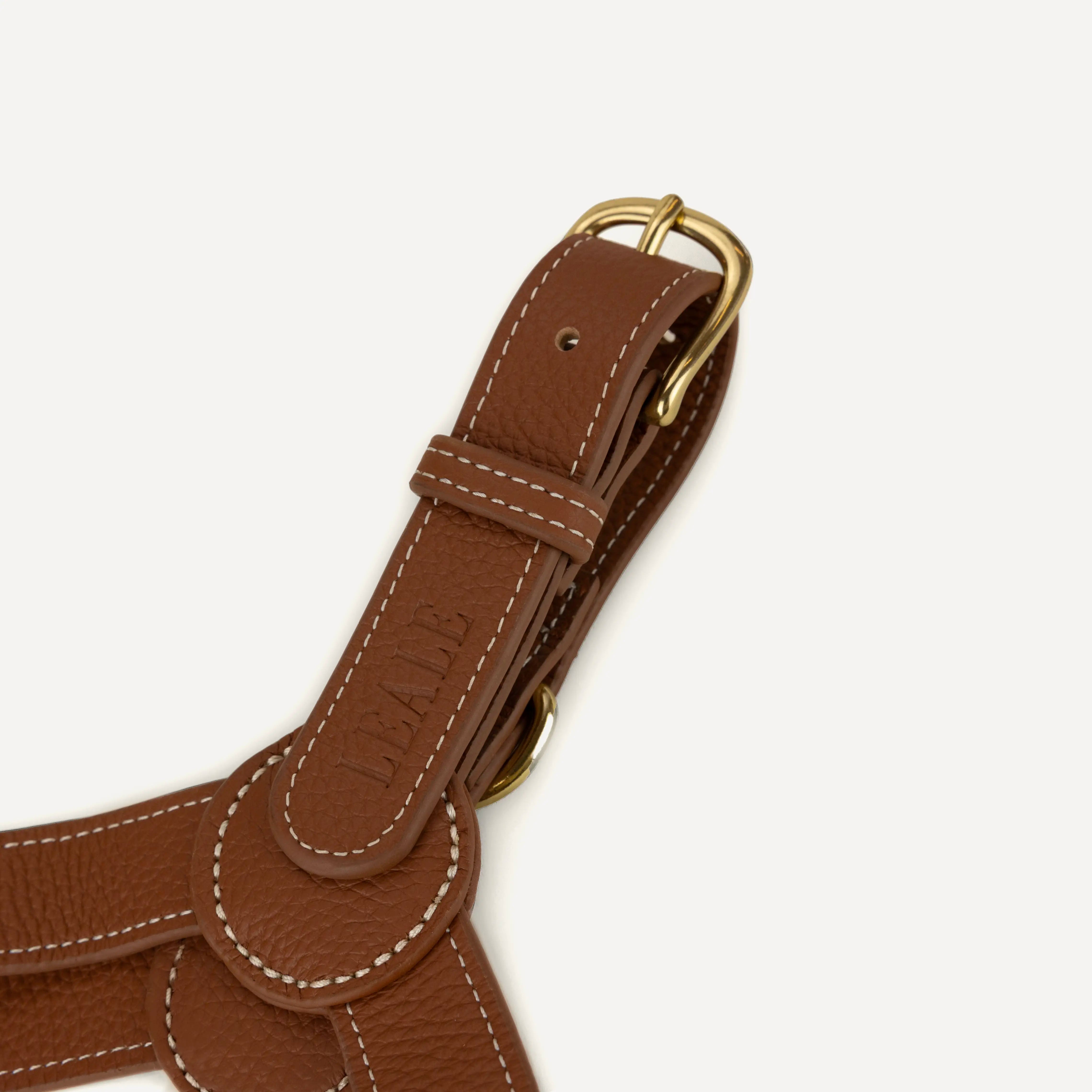 Closeup image of a dog harness, showing the leather texture