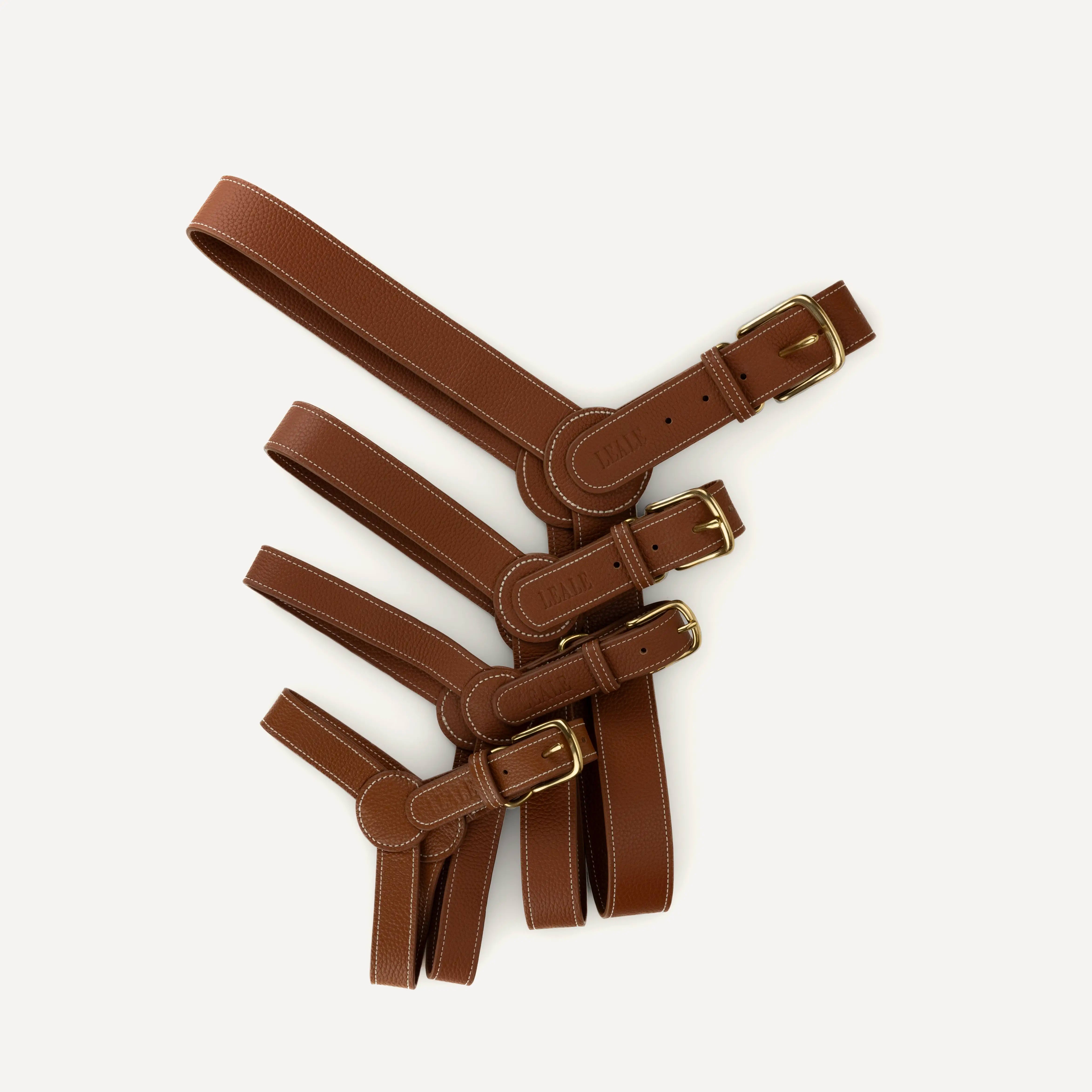 Product image of dog harnesses on a white background