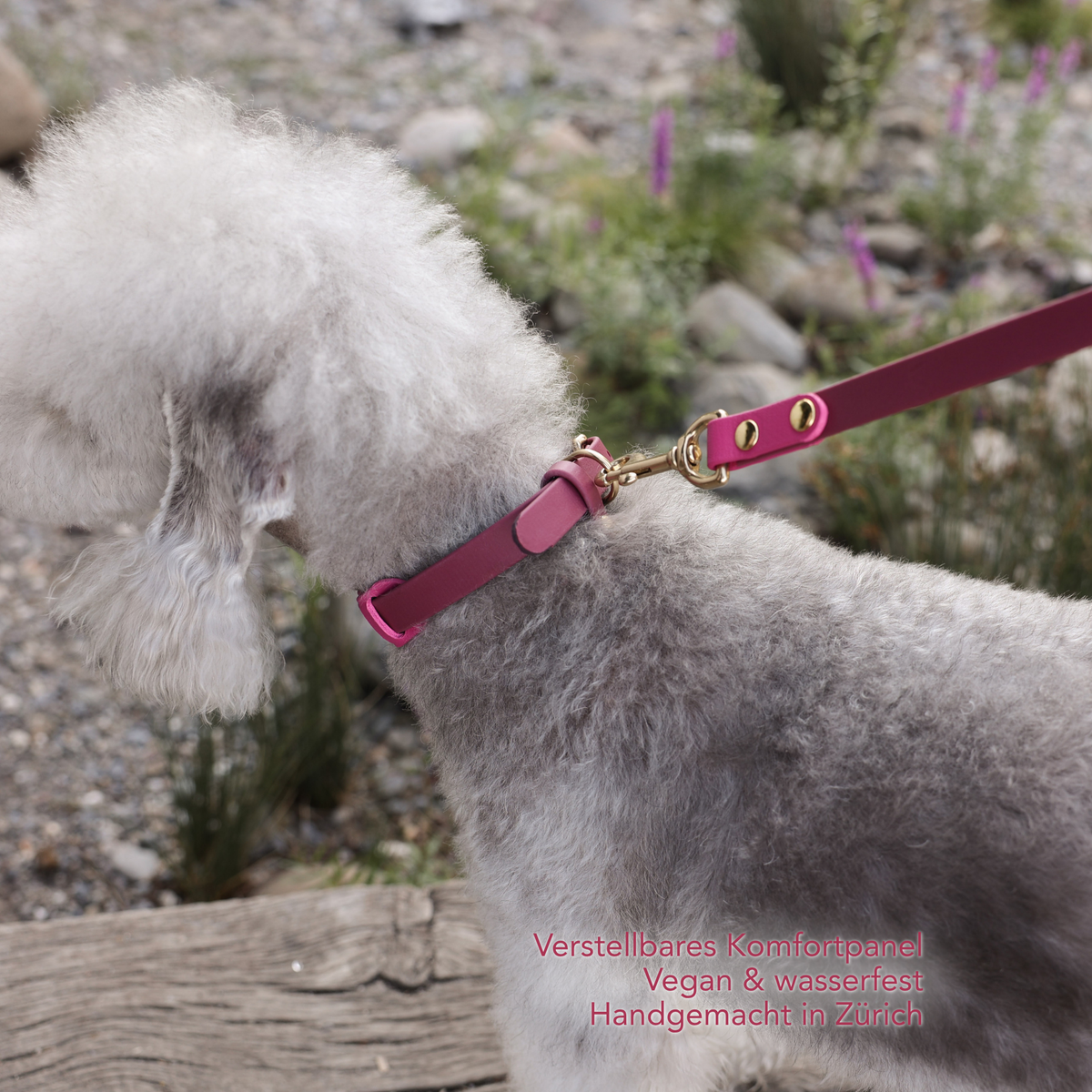 A fluffy white poodle wearing a magenta pink adjustable leather dog collar with gold-tone hardware, shown outdoors on a wooden path with blurred greenery in the background. German text overlay in the bottom right corner reads 'Verstellbares Komfortband Vegan & wasserfest Handgemacht in Zurich'. #lang_de