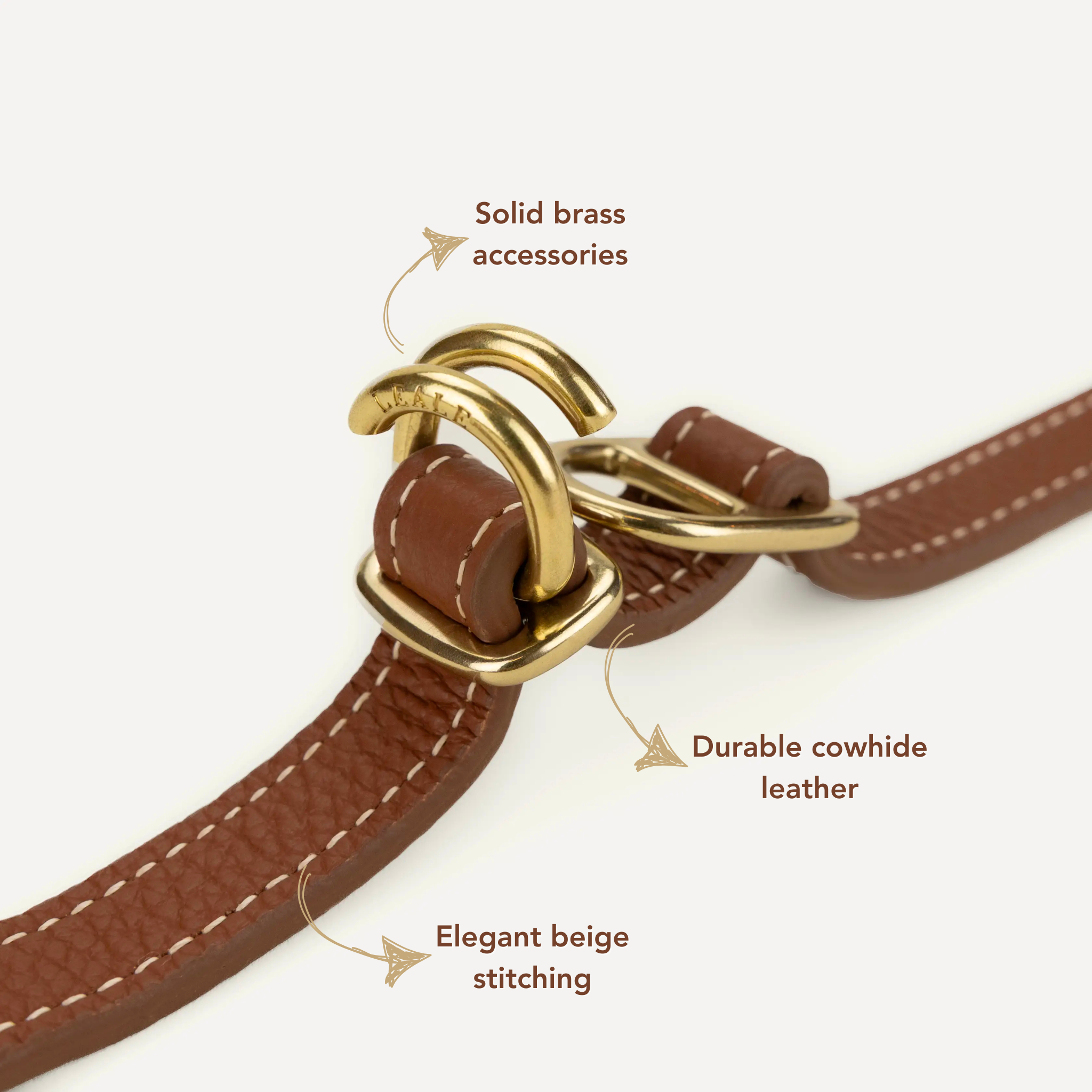 Closeup image of dog leash leather and brass details