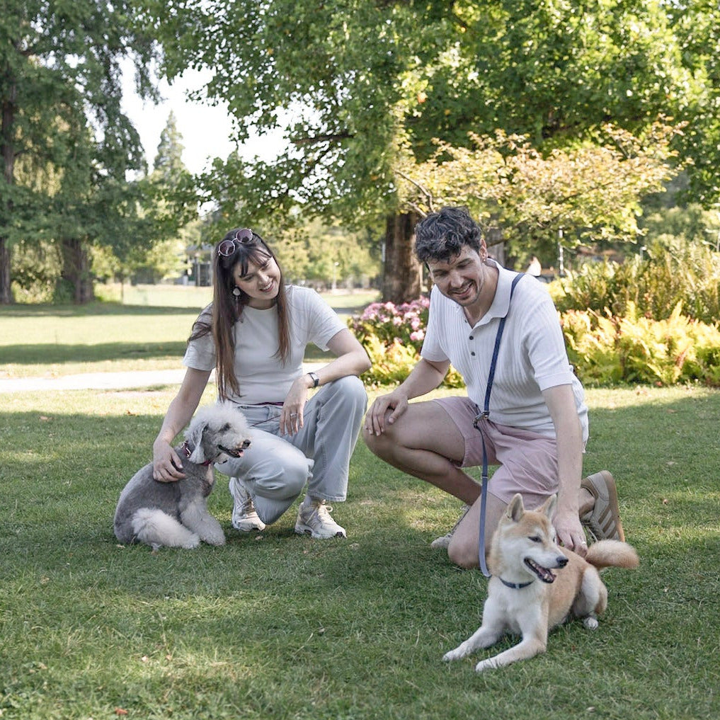 A man and a woman kneeling on a grassy park lawn with two dogs, surrounded by trees and garden foliage in the background.