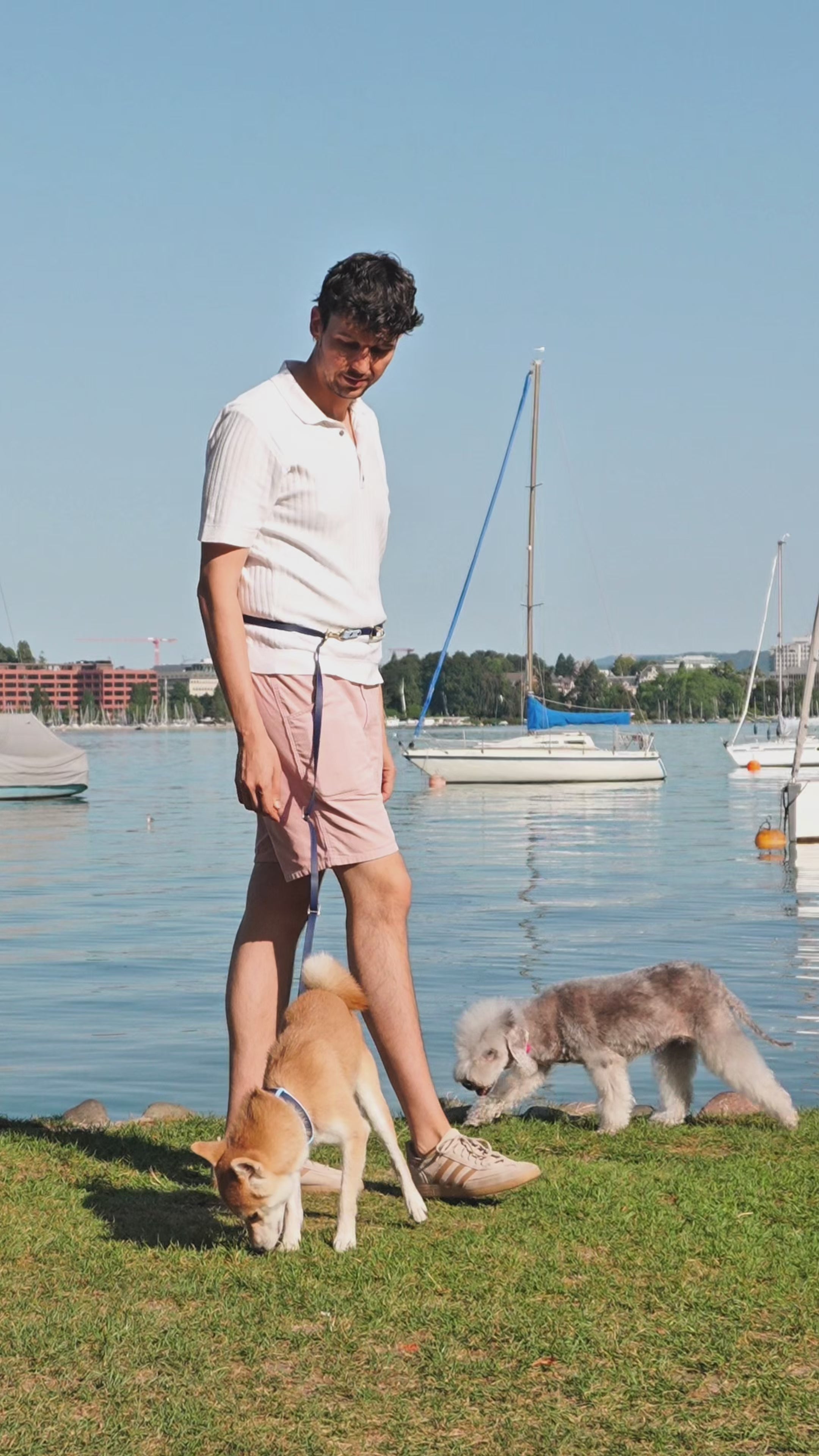 short clips show different use cases of a 3-in-1 dog leash made from vegan biothane: around the waist, crossbody or hand held, then shortening function and a matching collar. #lang_en