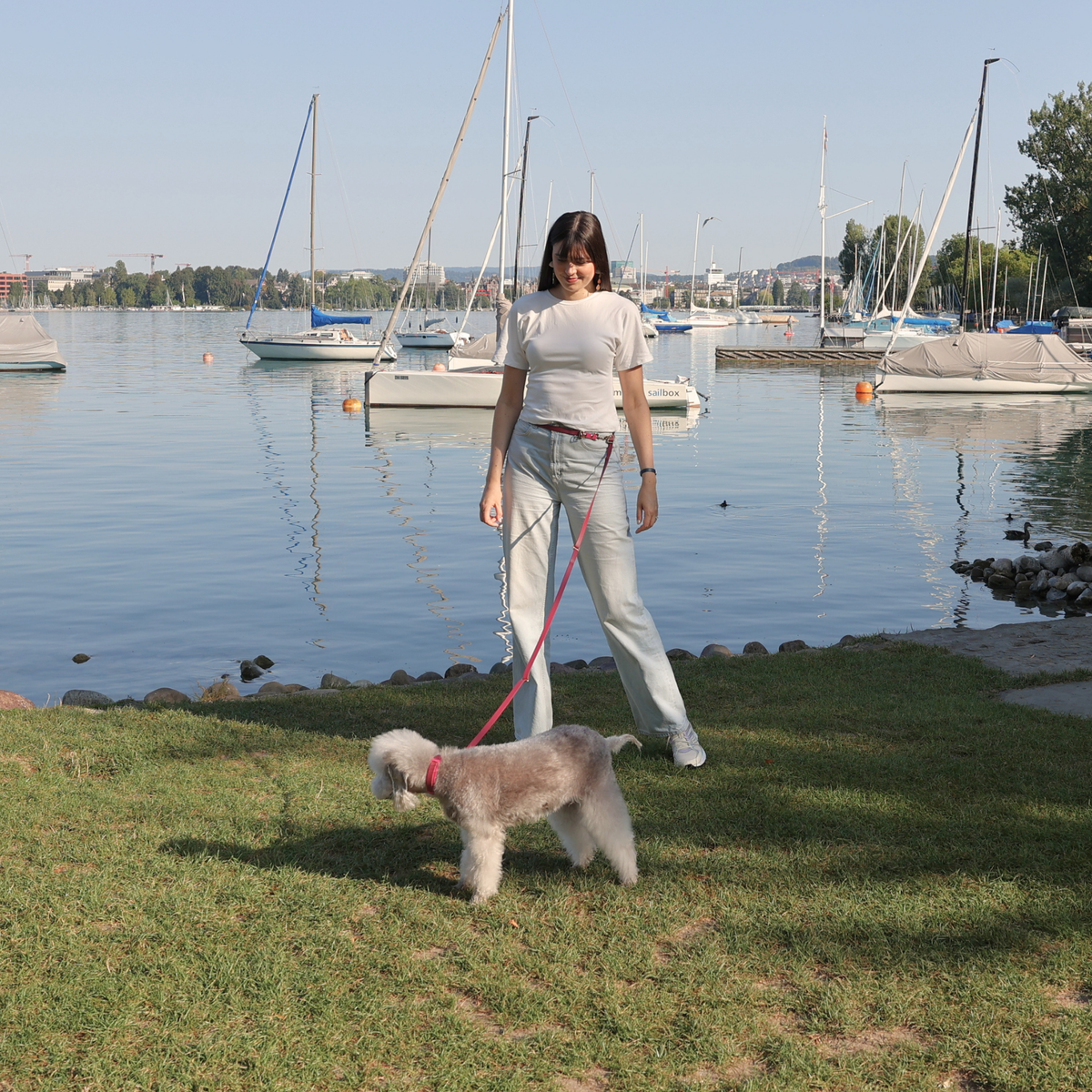 A woman stands on a grassy lakeside area with sailboats on the water in the background, holding a pink leash attached to a small fluffy dog wearing a pink collar.